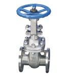 American standard flange gate valves