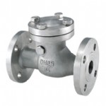 Swing flange check valves